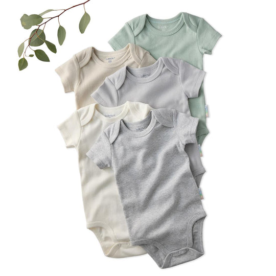 Avery - Short Sleeve Bodysuit, 5 Pack - Seafoam banner